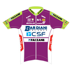 Team jersey BARDIANI CSF FAIZANE'