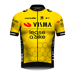 Team jersey TEAM VISMA | LEASE A BIKE