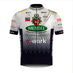 Maglia Squadra TEAM MENDELSPECK E-WORK
