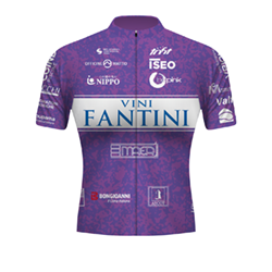Maglia Squadra VINI FANTINI - BEPINK